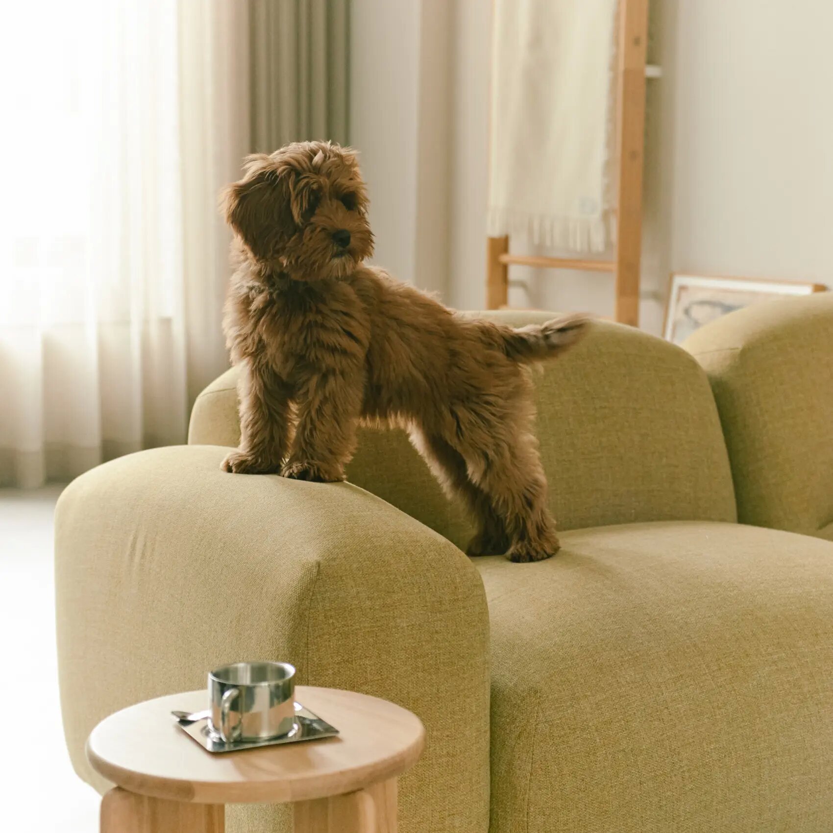 Design modern sofa | Pebbles 2 seater corner sofa right Brown | Studio HENK | 
