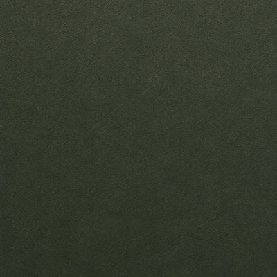 Steel powder coating forest green color sample