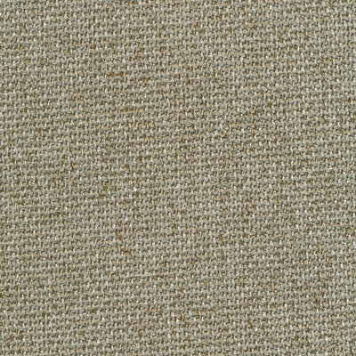 Dream desert109 fabric sample