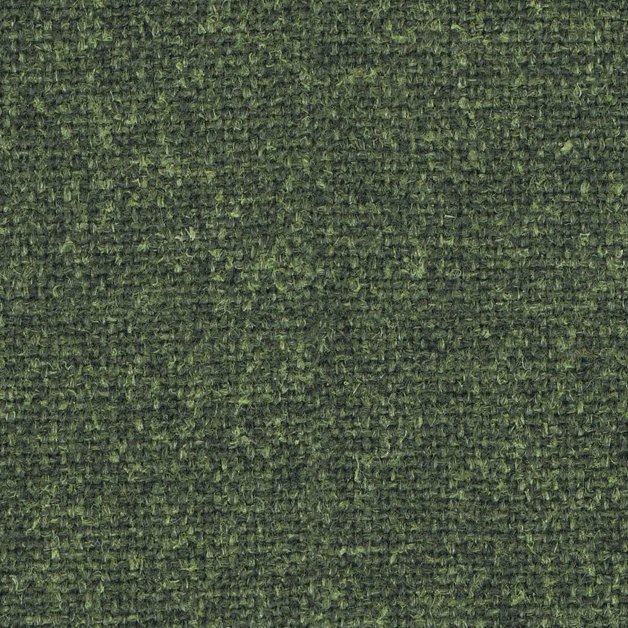 Hemp