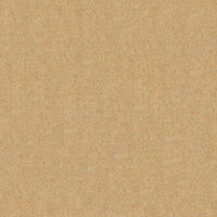 forward-camel09.jpg