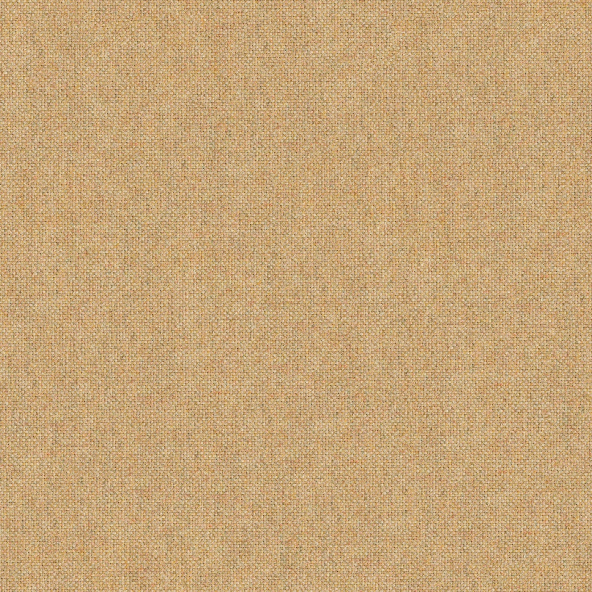 Forward camel09 fabric sample