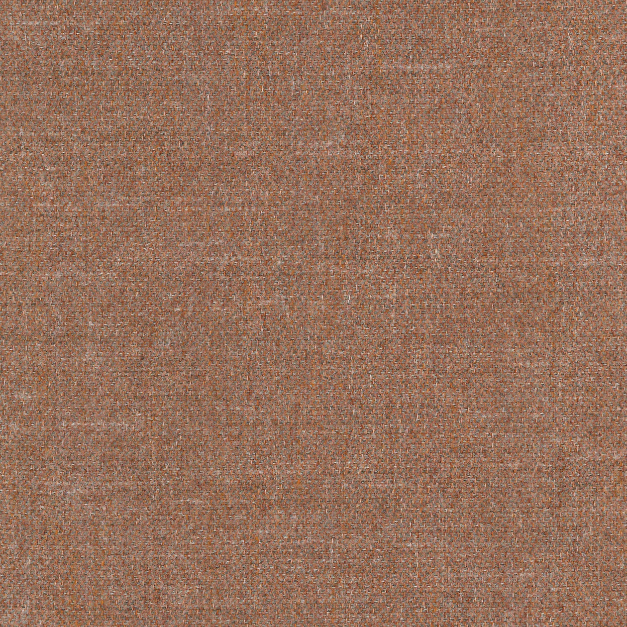 Orion terra31 dust sample
