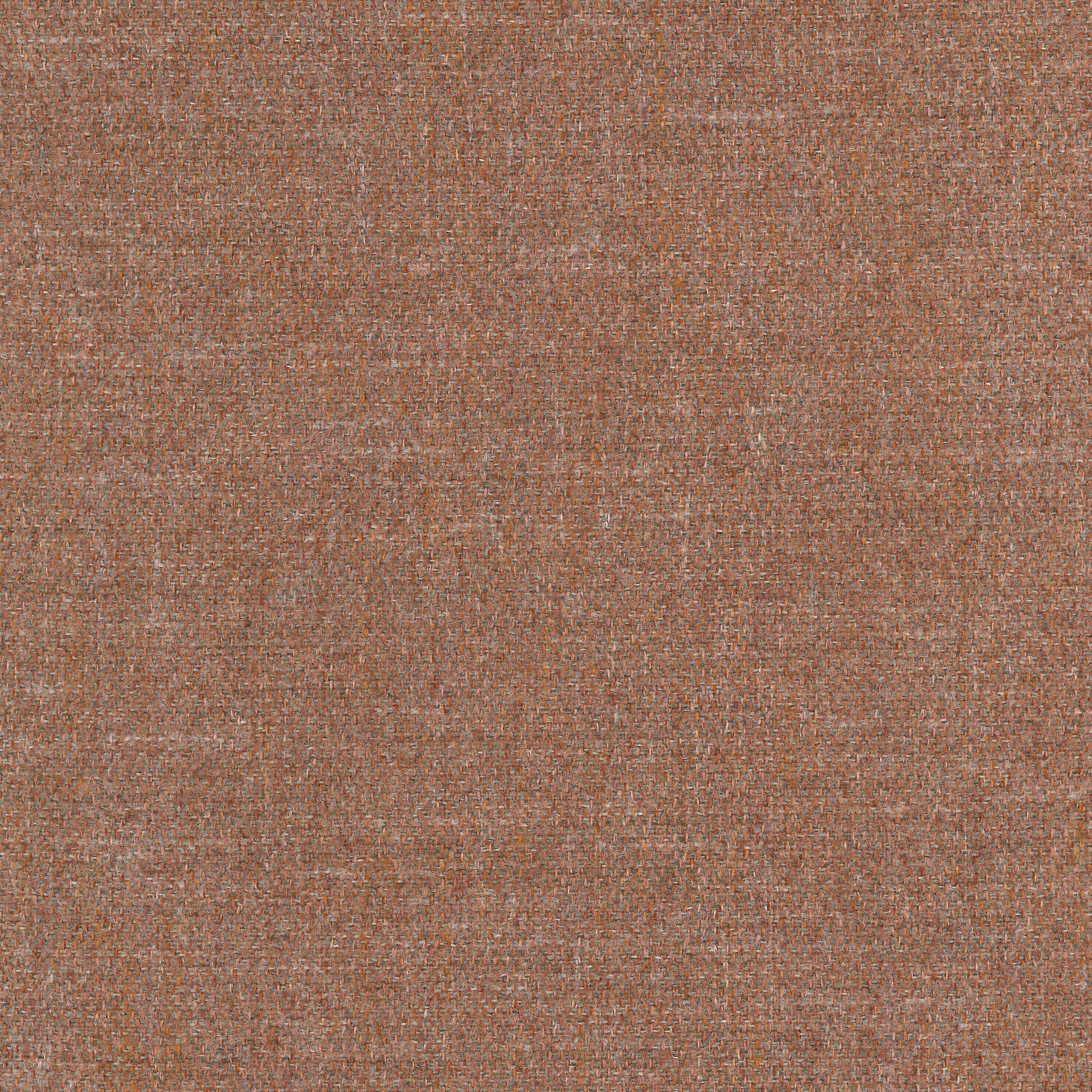Orion terra31 dust sample