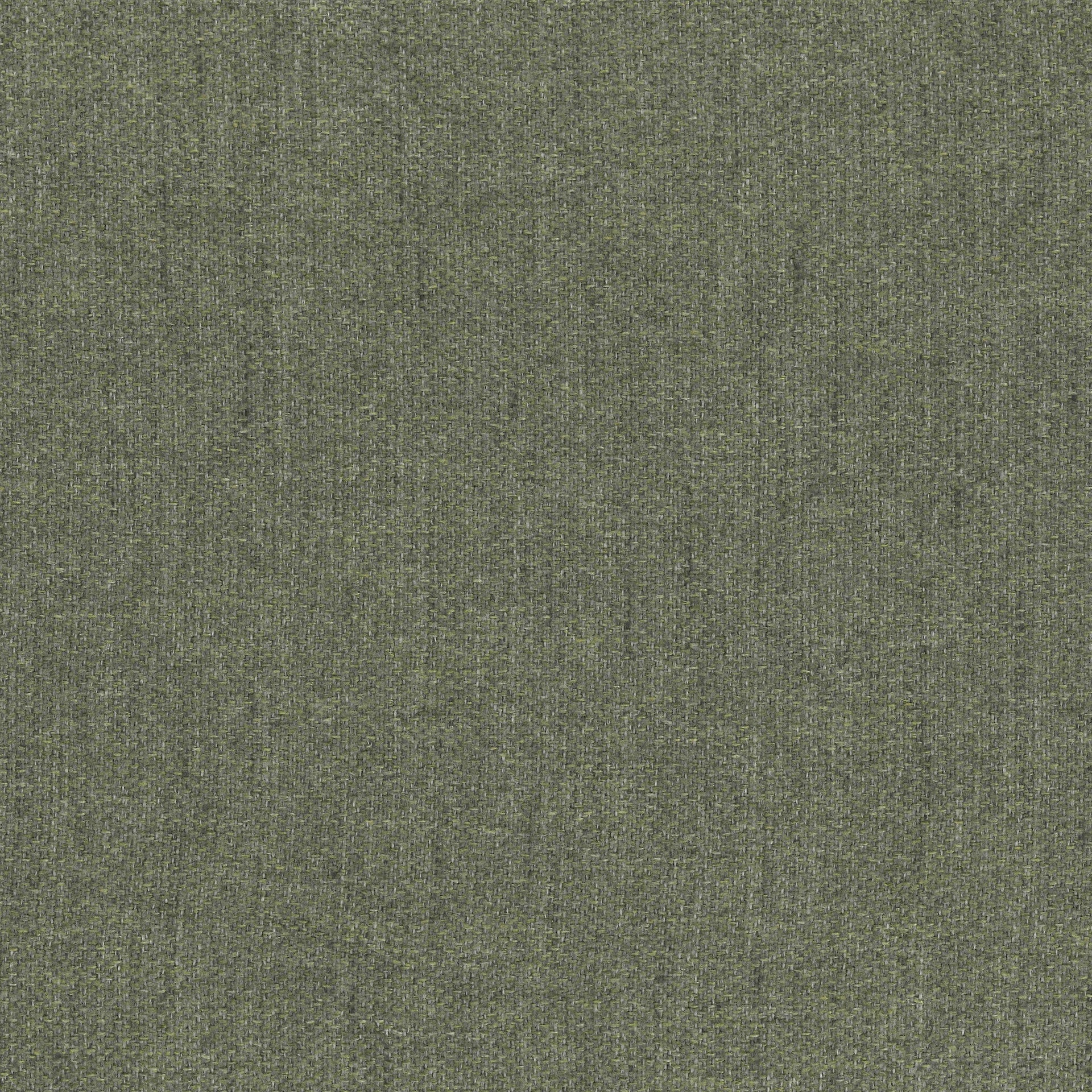 Orion turtle88 fabric swatch