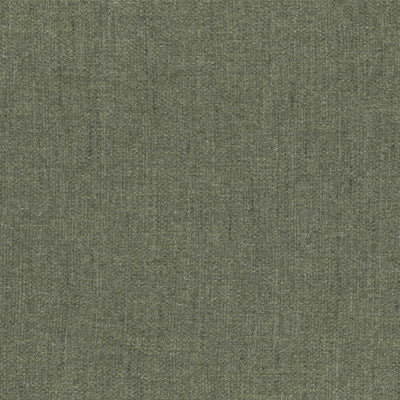 Orion turtle88 fabric swatch