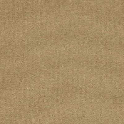 Tonus 4 0244 fabric sample