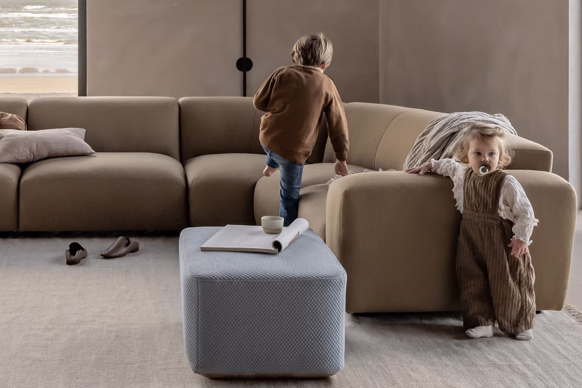 Illustrative image for ‘De beste huisdier- en kindvriendelijke materialen voor je meubels`